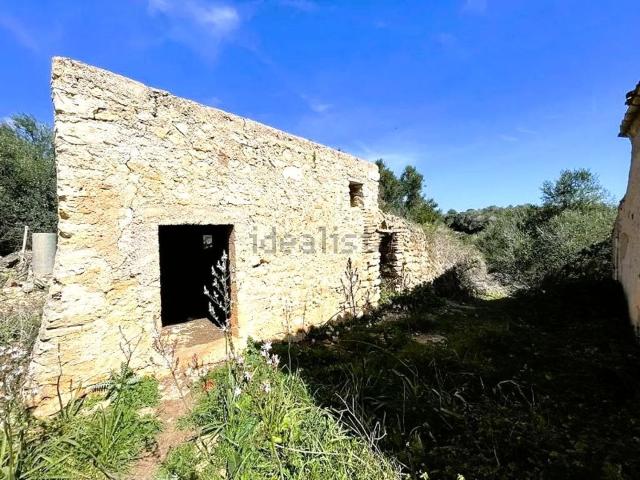 Casa rústica, Manacor