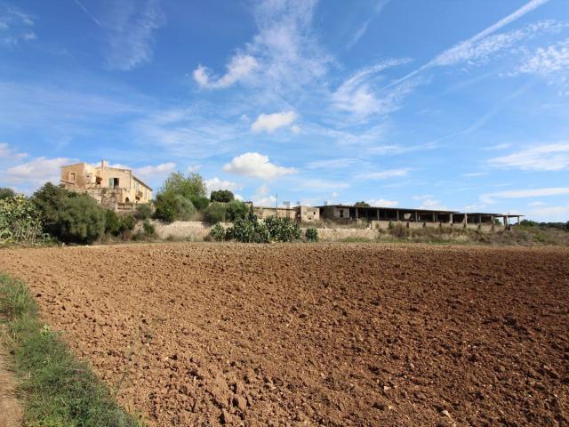 Casa rústica, Manacor