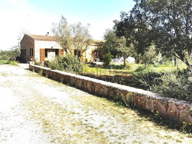 Casa rústica, Manacor
