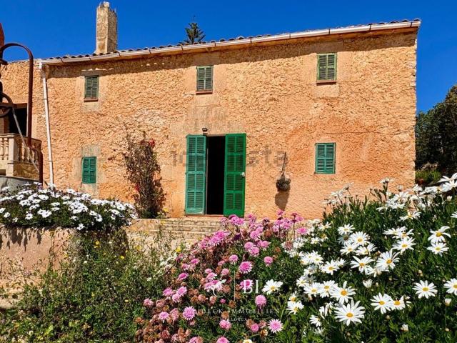 Casa rústica, Manacor