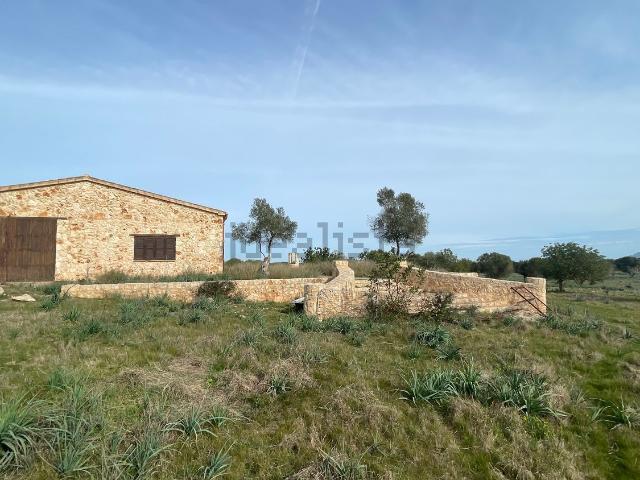 Casa rústica, Maria de la Salud
