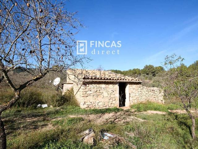 Casa rústica, Miravet