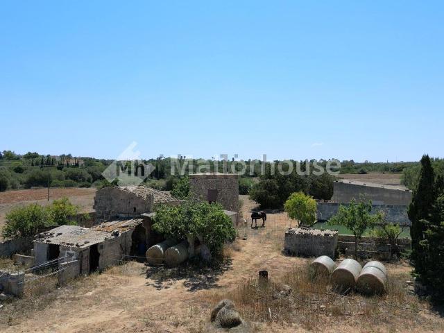 Casa rústica, Muro