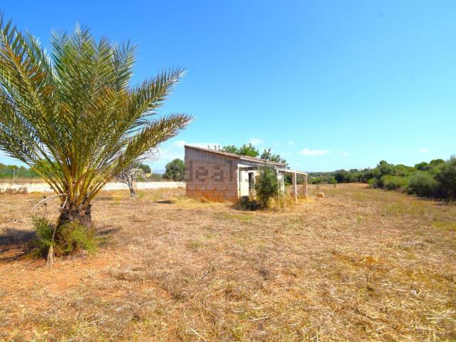 Casa rústica, Muro