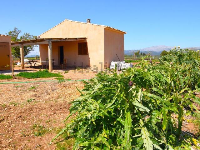 Casa rústica, Muro