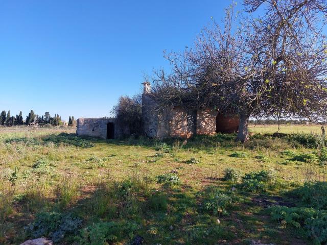 Casa rústica, Muro