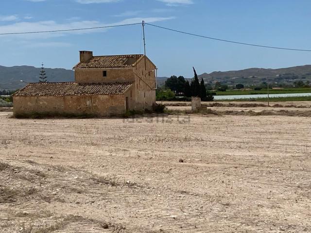 Casa rústica, Novelda
