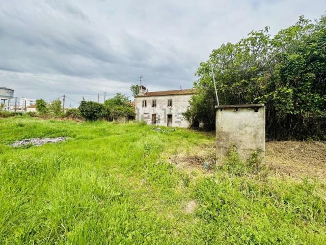 Casa rústica, São Miguel do Rio Torto e Rossio ao Sul do Tejo