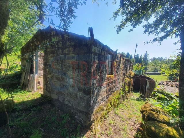 Casa rústica, Souto