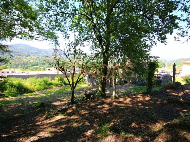Casa rústica, Souto