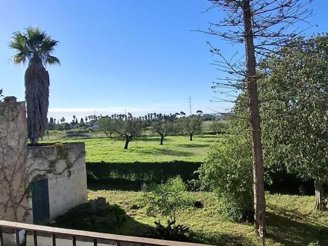 Casa rústica, Son Sardina, Palma de Mallorca