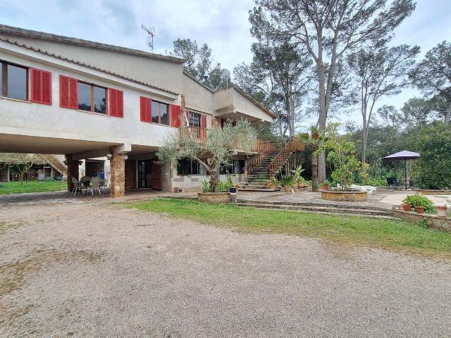 Casa rústica, Sa Casa Blanca, Palma de Mallorca