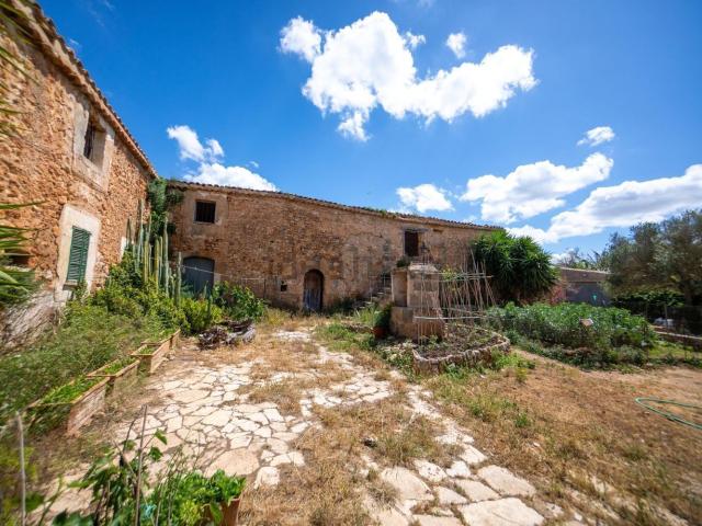 Casa rústica, Sa Casa Blanca, Palma de Mallorca