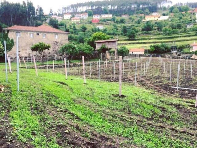 Casa rústica, Salvador