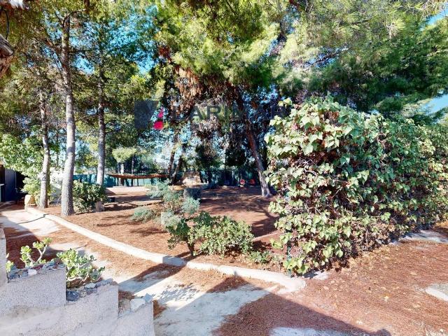 Casa rústica, San Vicente del Raspeig