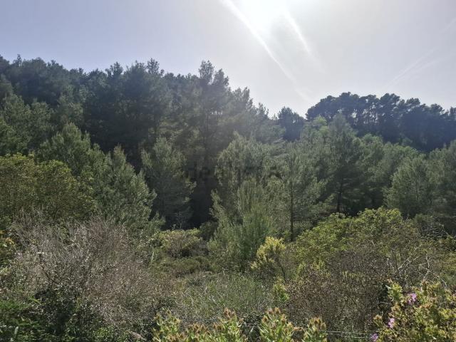 Casa rústica, Sant Josep de Sa Talaia