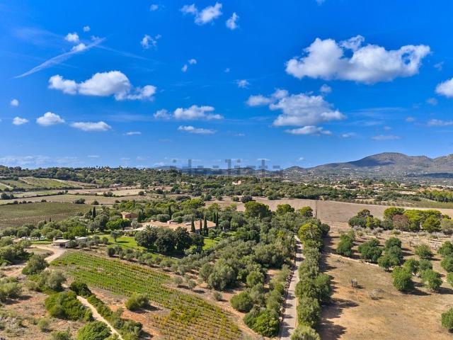 Casa rústica, Sant Llorenç Des Cardassar