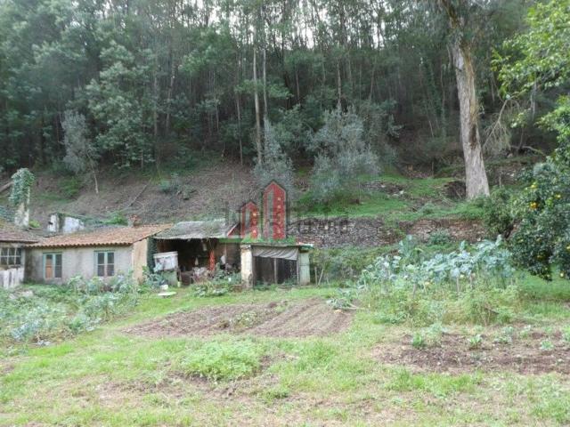 Casa rústica, Santo António dos Olivais