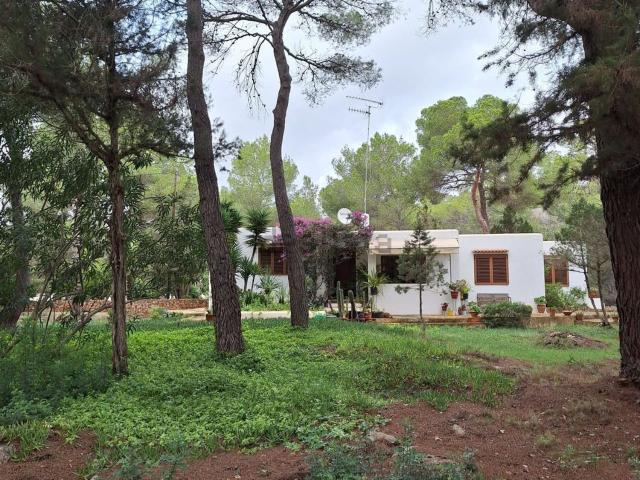 Casa rústica, Santa Eulalia del Río