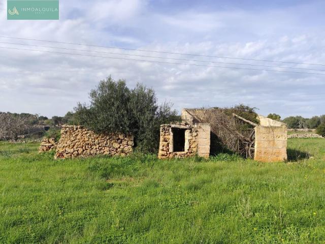 Casa rústica, Santa Margalida