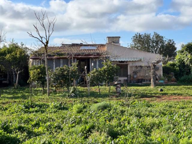 Casa rústica, Santa Margalida