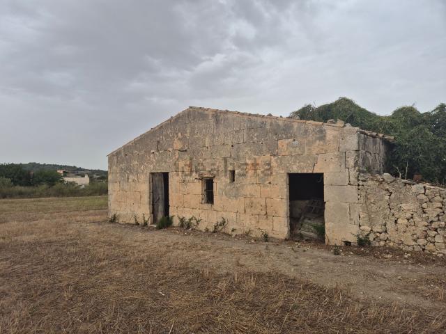 Casa rústica, Santa Margalida
