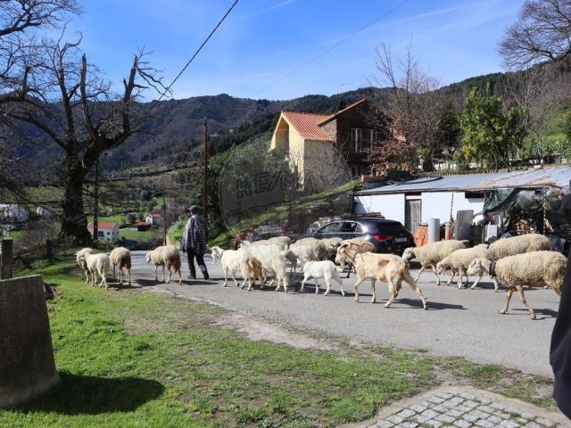 Casa rústica, Santa Maria
