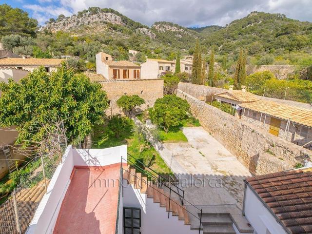 Casa rústica, Selva
