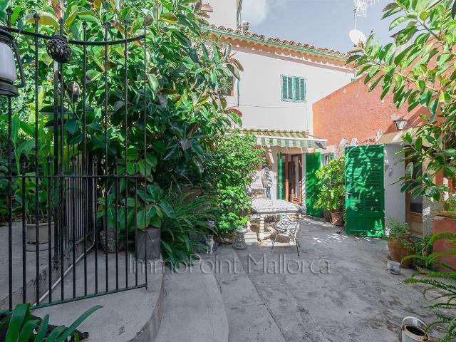 Casa rústica, Selva