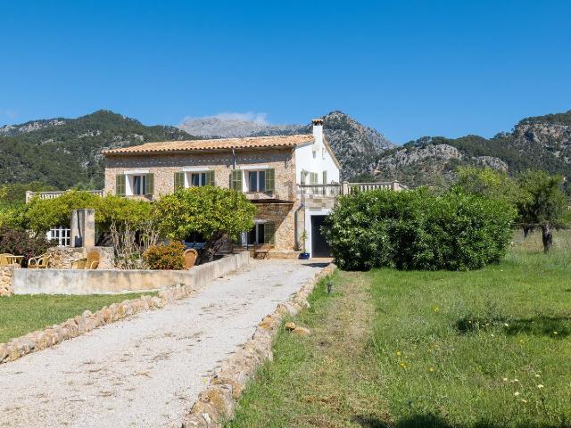 Casa rústica, Selva