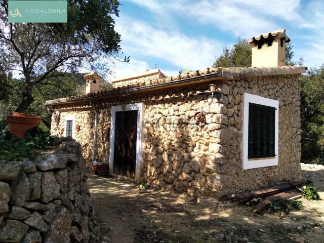Casa rústica, Selva