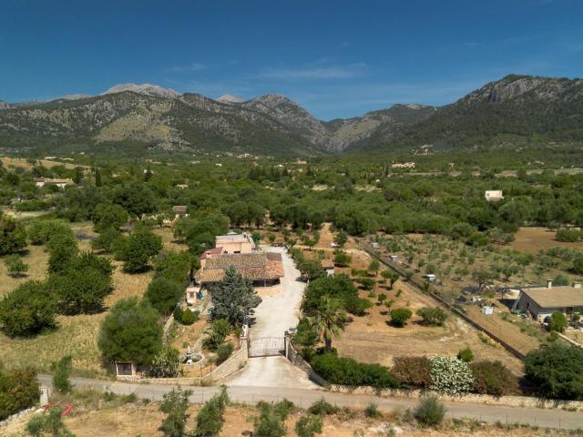 Casa rústica, Selva