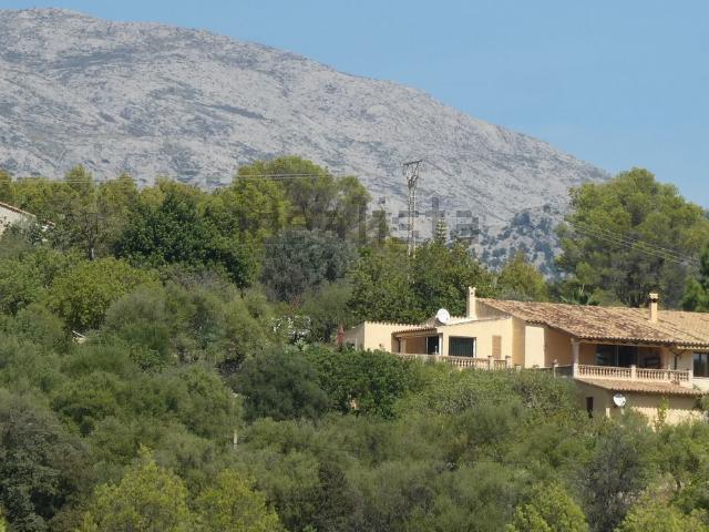 Casa rústica, Selva