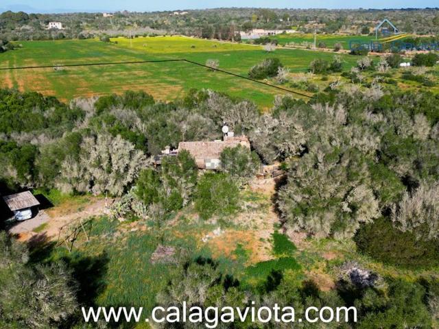 Casa rústica, Ses Salines Mallorca