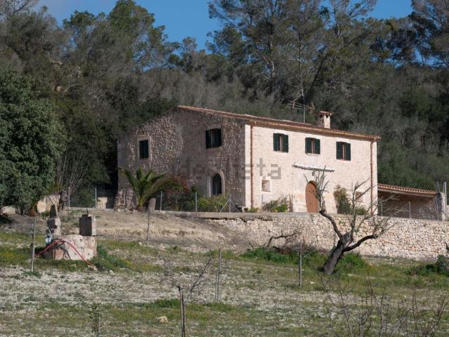 Casa rústica, Sineu