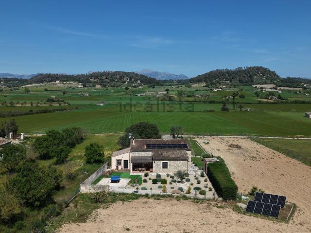 Casa rústica, Sineu