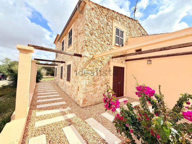 Casa rústica, Sineu