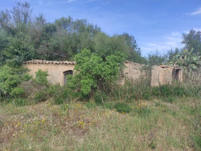 Casa rústica, Sineu
