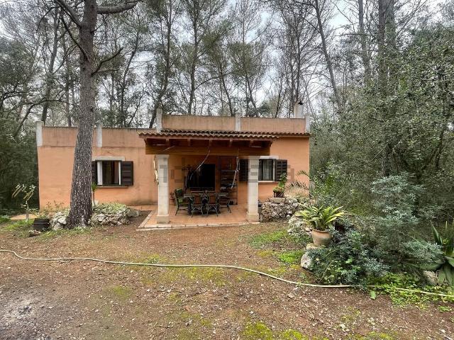 Casa rústica, Sineu