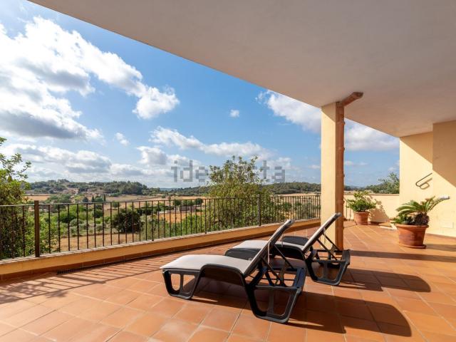 Casa rústica, Sineu