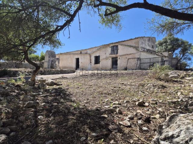 Casa rústica, Sineu