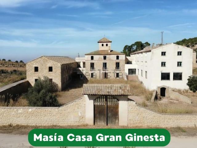 Casa rústica, Suchs
