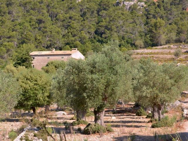 Casa rústica, Pollença