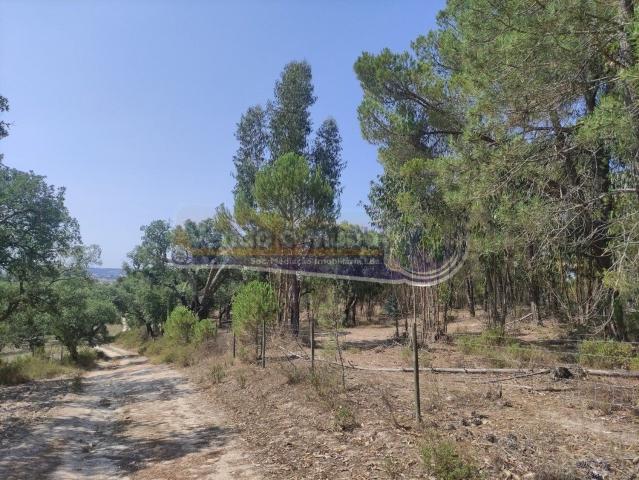 Casa rústica, Mora