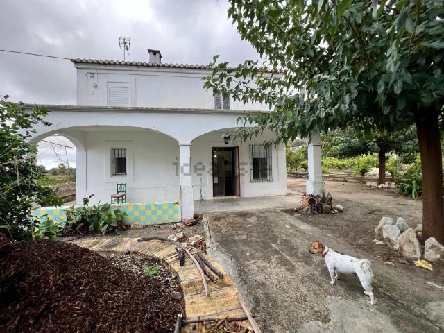 Casa rústica, Pego