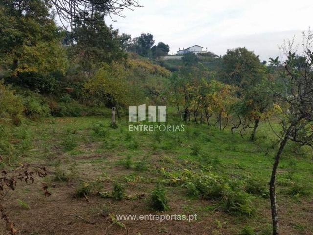 Casa rústica, Penha Longa e Paços de Gaiolo