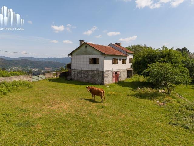 Casa rústica, Pico