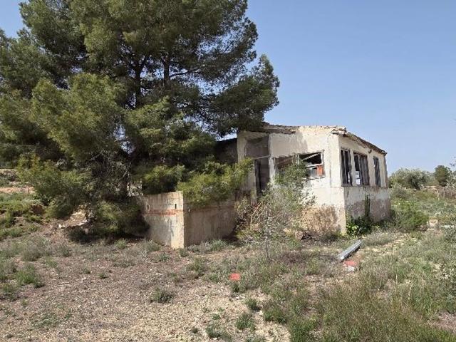 Casa rústica, Pinoso