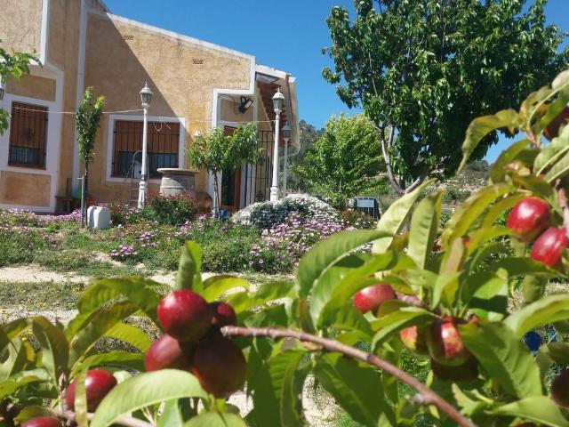 Casa rústica, Relleu