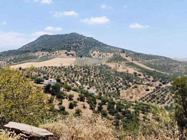 Casa rústica, Riogordo